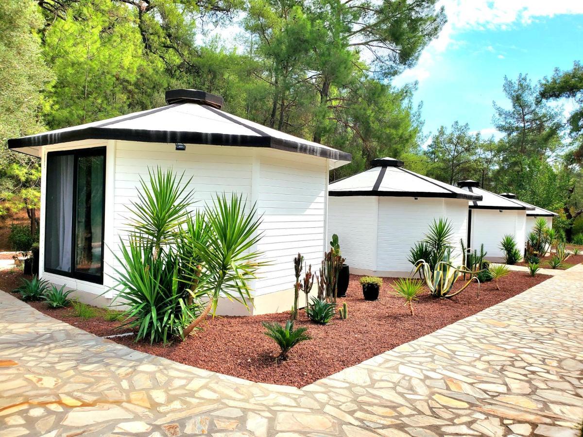 Nomad Lodge Olympos Adults Only Extérieur photo